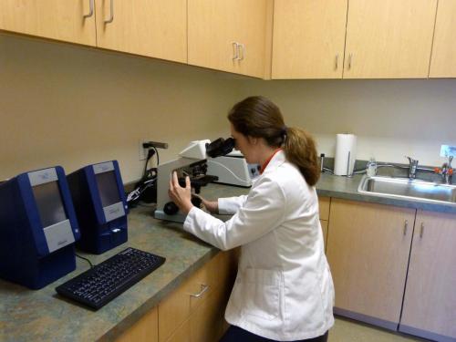 Our in-house laboratory allows us to perform blood chemistries, urinalysis, and fecal examinations quickly so you don’t have to wait.